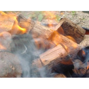 Manuka Stick Wood | Wood Splits | Wood Splits