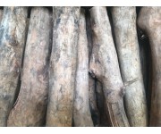 Pohutakawa Wood Splits 18L | Wood Splits | Wood Splits