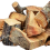Plum Wood Chunks
