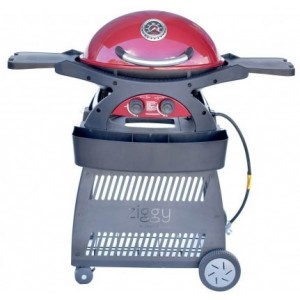 Ziggy Classic Twin Grill on Cart | Ziegler and Brown 