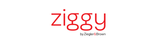 Ziggy Grill Bundle Deals